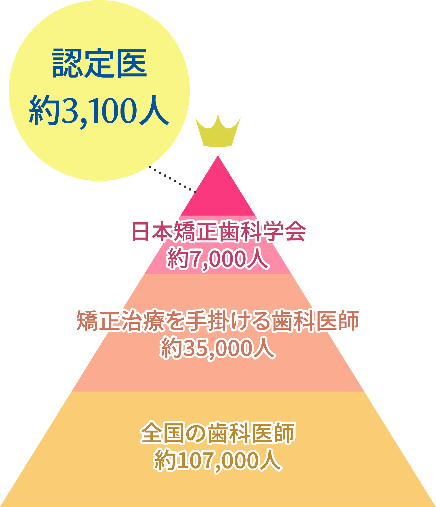 認定医約3,100人